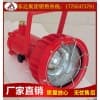 DGC175/127礦用隔爆型投光燈 豎井作業(yè)照明
