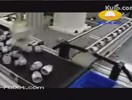 自動化機(jī)械手視頻 (1196播放)